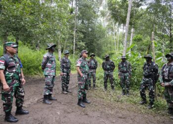 Kasrem Tinjau Pelatihan Taktis Tingkat Tim Gunung Hutan Yonif 732 Banau