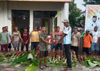 Pemdes Tabamasa Hadirkan Program Ketahanan Pangan Untuk Warga