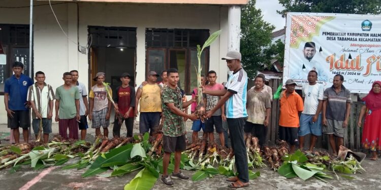 Kepala Desa Tabamasa (Salmin Ismail Saleh) Serah Terima Pengadaan Bibit pohon pisang