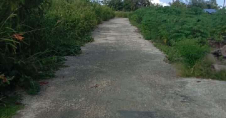 Foto Pembangunan Jalan Lauin-Orimakurunga (Istimewa Udi)