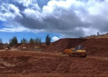 Aktivitas Perusahaan PT Karya Wijaya