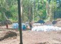 Foto Istimewa: (Lokasi Pengambilan Tana Secara Ilegal di Desa Sumae Halmahera Selatan)